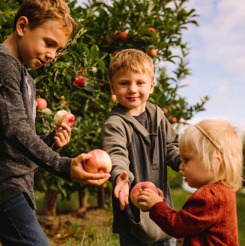 Your Ultimate Guide to U-Pick Hotspots in Michigan