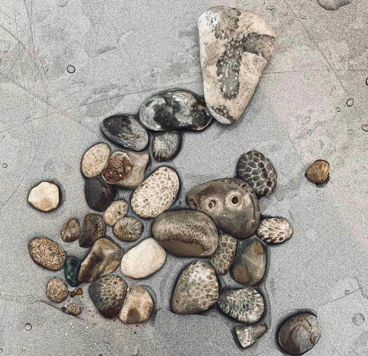 Your Official Rock Hunting Guide to Michigan’s Coolest Native Stones