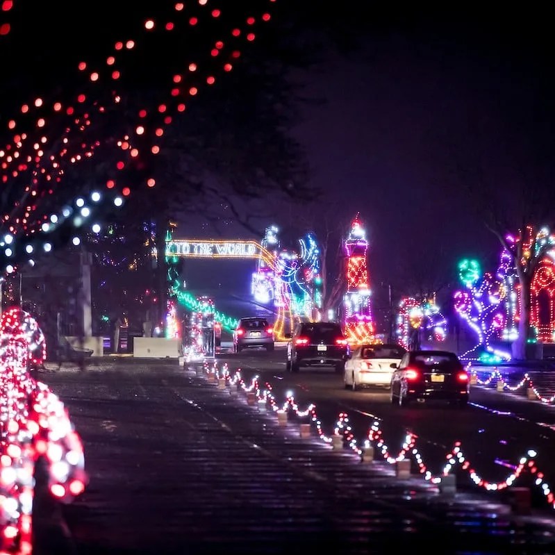 These Michigan Christmas tree farms and holiday light displays are sleighing it