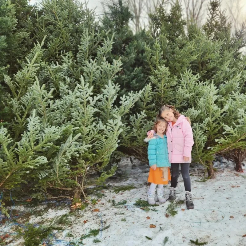 These Michigan Christmas tree farms and holiday light displays are sleighing it