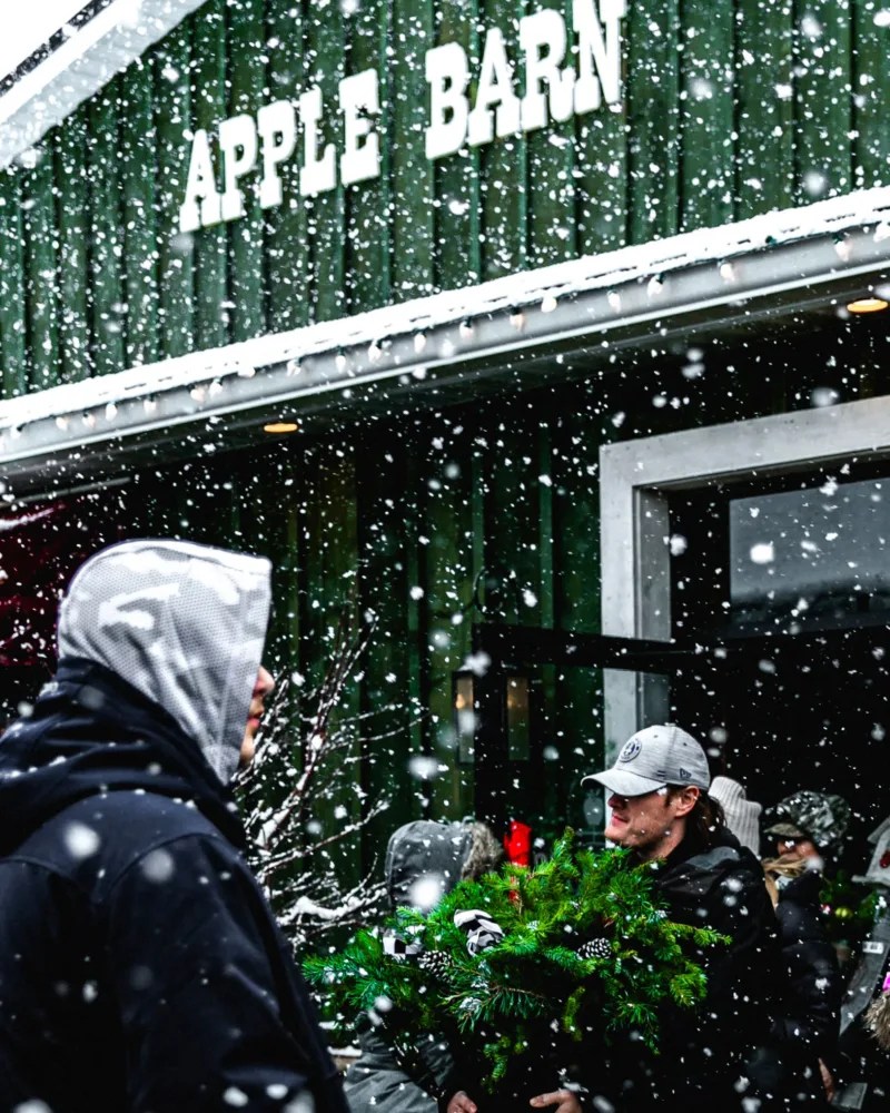 These Michigan Christmas tree farms and holiday light displays are sleighing it