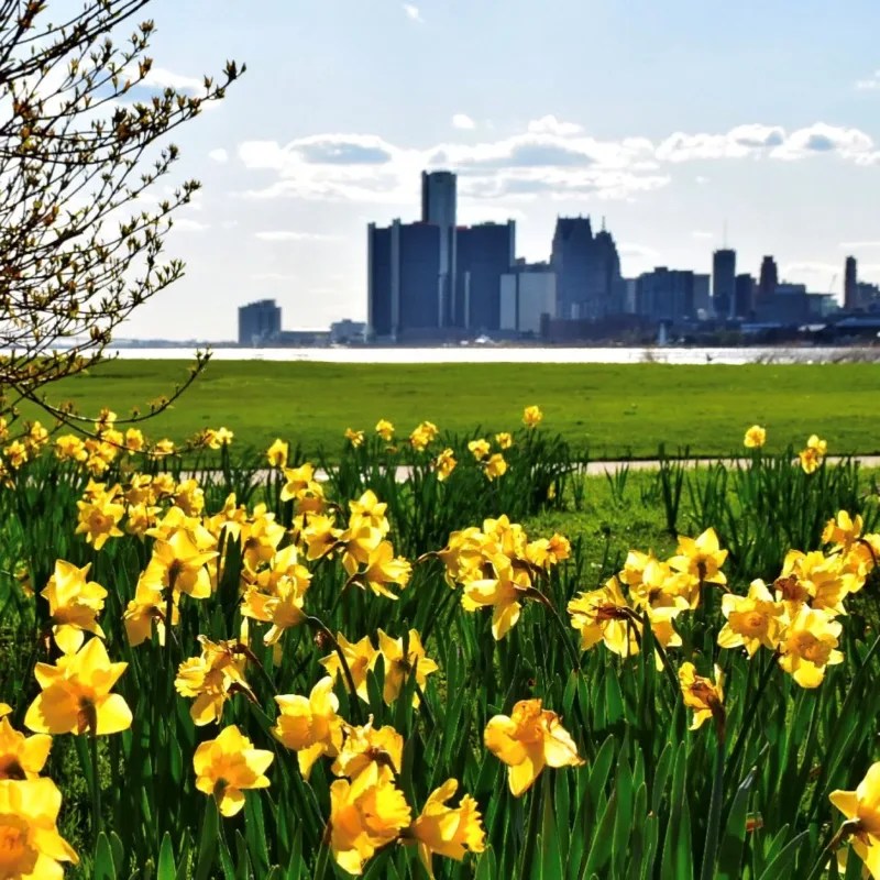 Motor City Markdown: 11 Detroit Excursions On a Budget