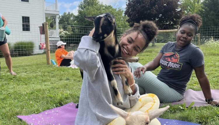 Where to practice goat yoga in Michigan
