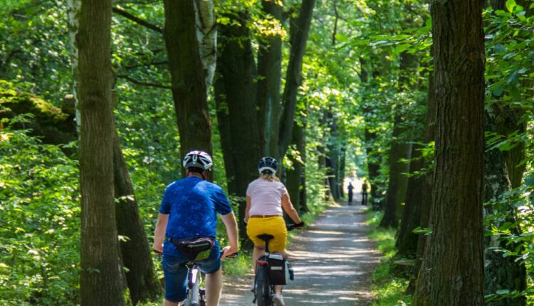 7 best biking trails in Metro Detroit, from chill to challenging