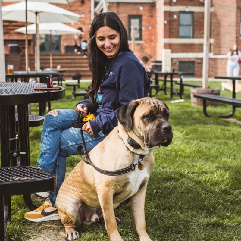 Coffee & canines: 9 pet-friendly cafes across Michigan
