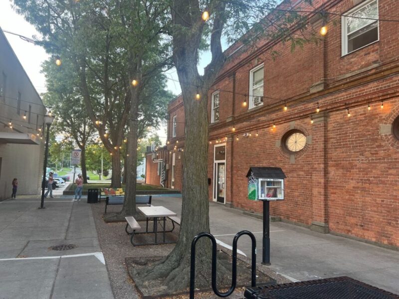 Nature on Nepessing: Follow the clues to see local art in Lapeer