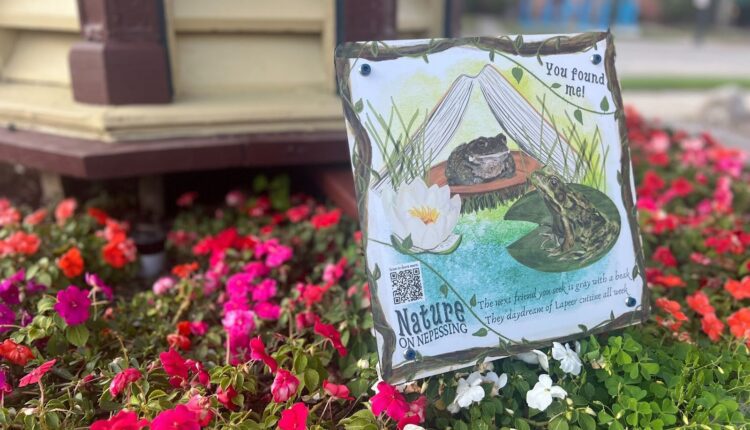 Nature on Nepessing: Follow the clues to see local art in Lapeer