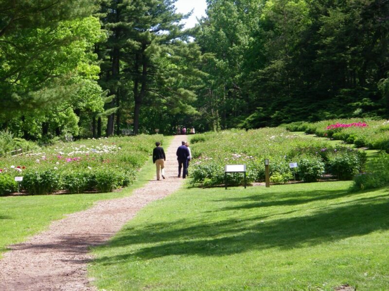 10 Ann Arbor activities for healing a broken heart