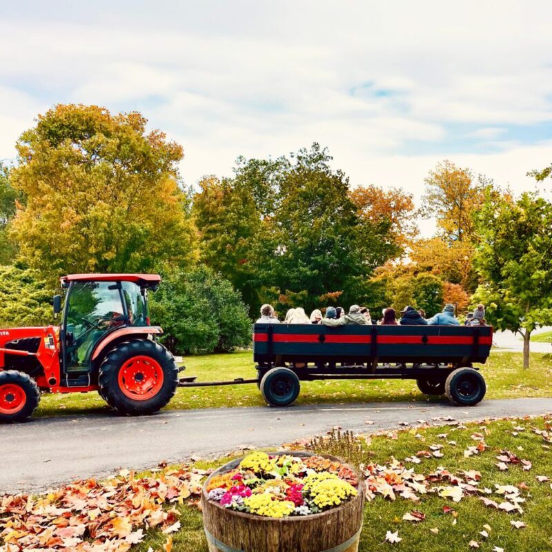 8 Michigan wineries to visit this fall