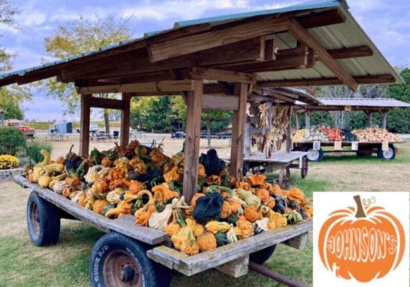 The 11 biggest pumpkin patches in Michigan
