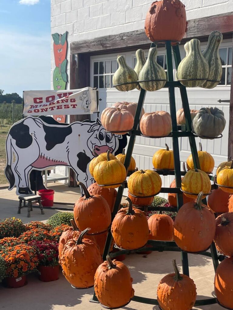 The 11 biggest pumpkin patches in Michigan