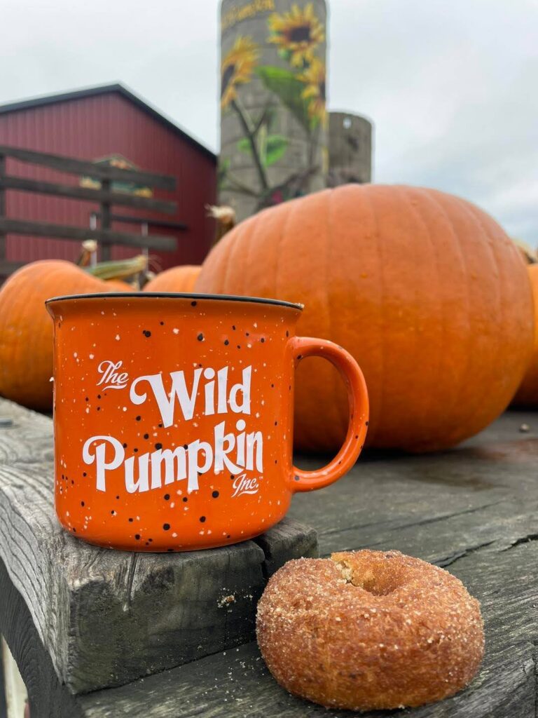 The 11 biggest pumpkin patches in Michigan