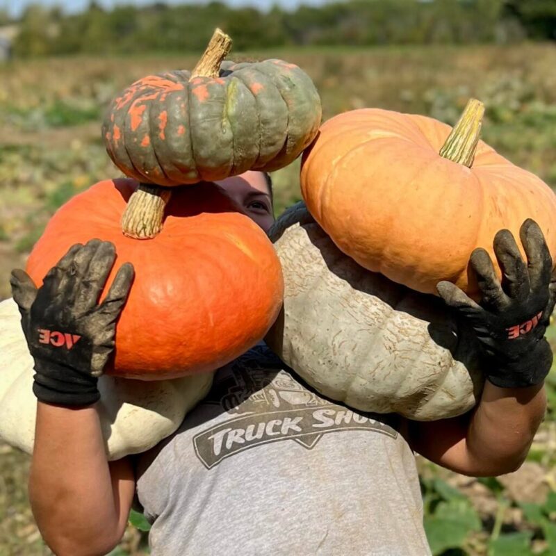 The 11 biggest pumpkin patches in Michigan