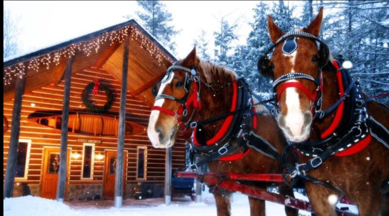 15 things that belong on every Michigander’s winter bucket list