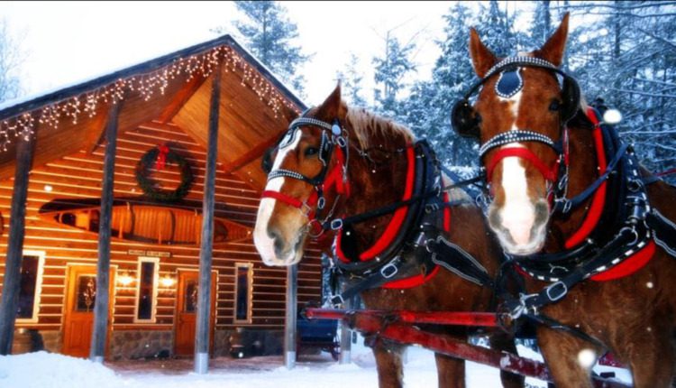 Where to take horse-drawn sleigh rides in Michigan