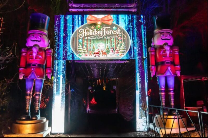 10 magical holiday light displays near Detroit