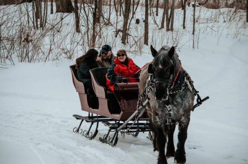 Where to take horse-drawn sleigh rides in Michigan