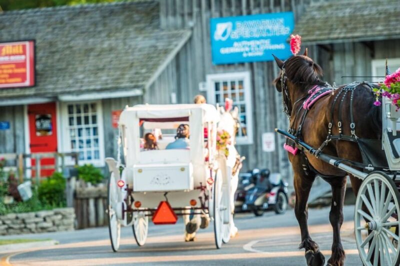 Where to take horse-drawn sleigh rides in Michigan