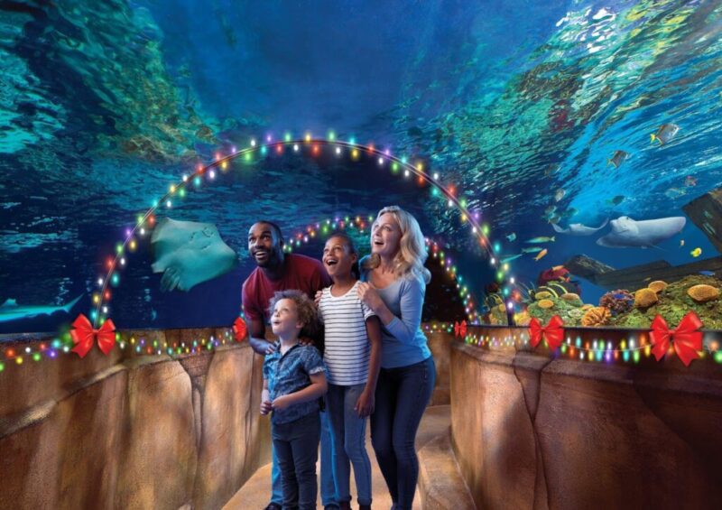 10 magical holiday light displays near Detroit