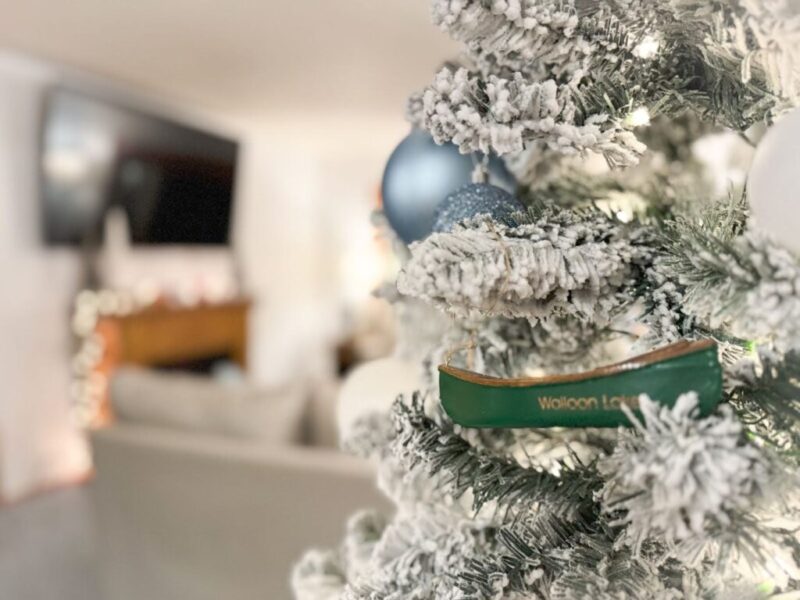 15 things that belong on every Michigander’s winter bucket list