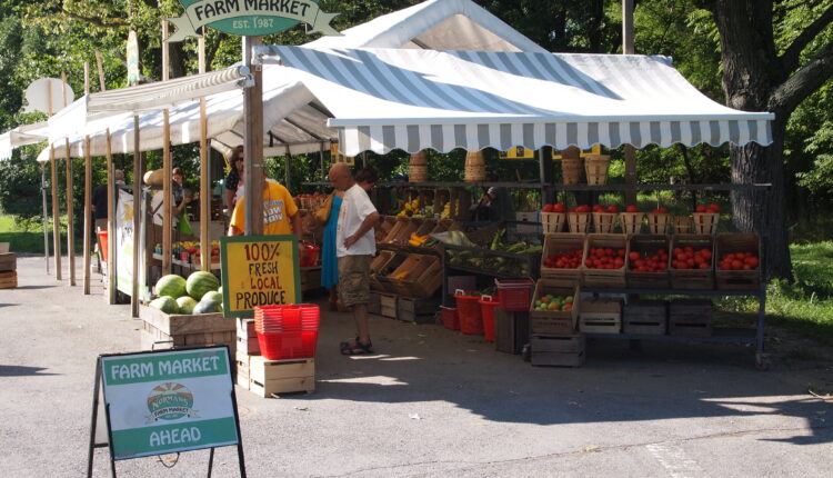 Join the Dodge Park Farmers Market: 2025 vendor spaces open