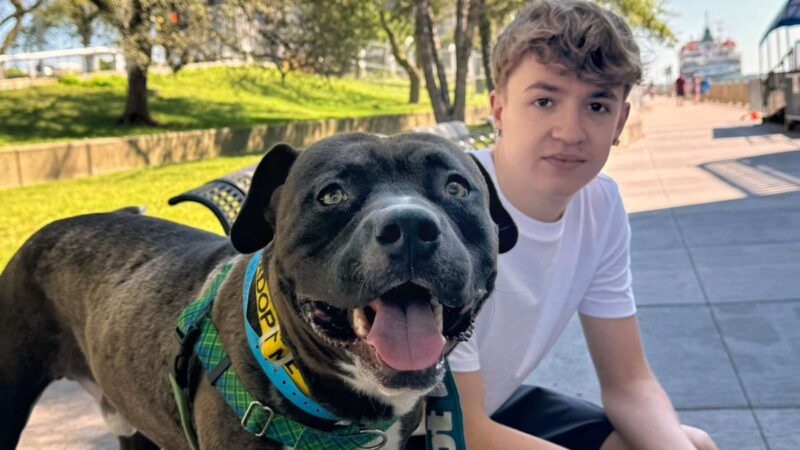 How to take a Michigan shelter dog on a field trip for the day