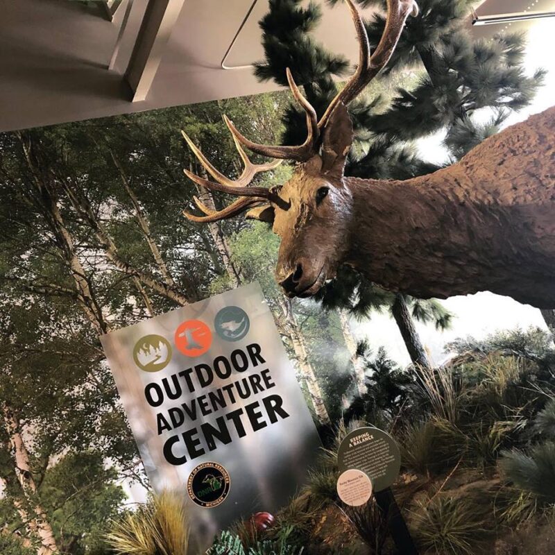 12 places in Michigan to spend Spring Break