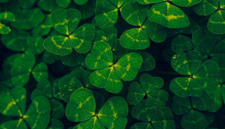 Go green this St. Patrick’s Day with eco-friendly crafts