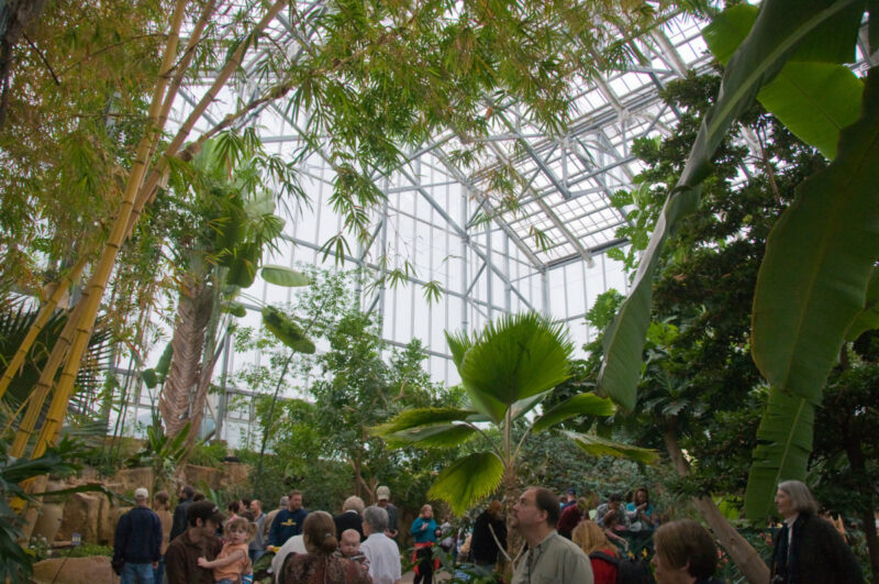 Catch Meijer Gardens’ Butterfly Exhibit—only through April