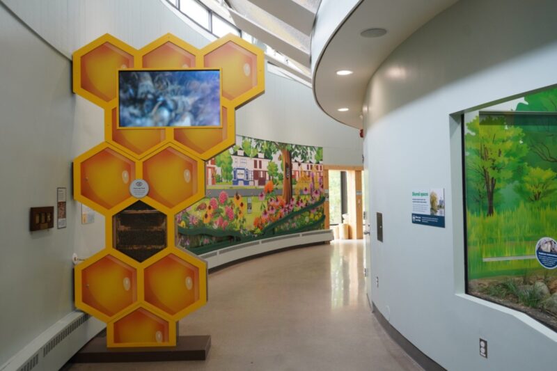 13 free things to do in Detroit