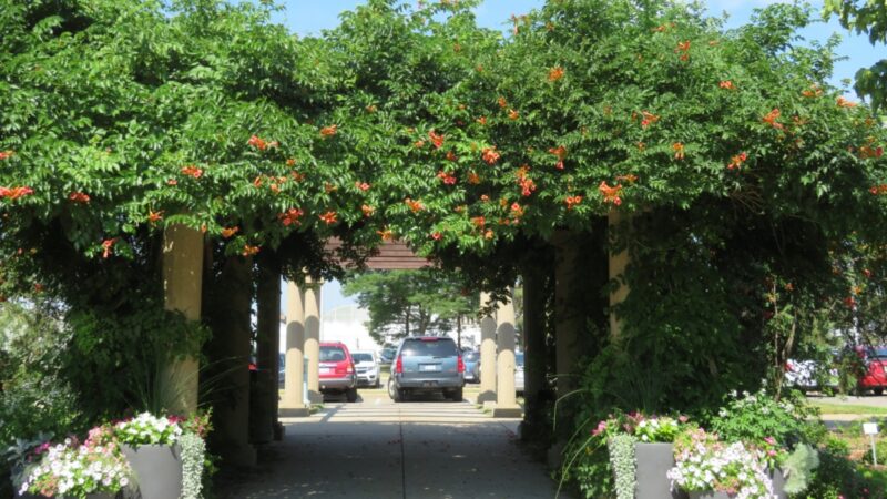 Stop and smell the roses in ten immaculate public gardens in Michigan