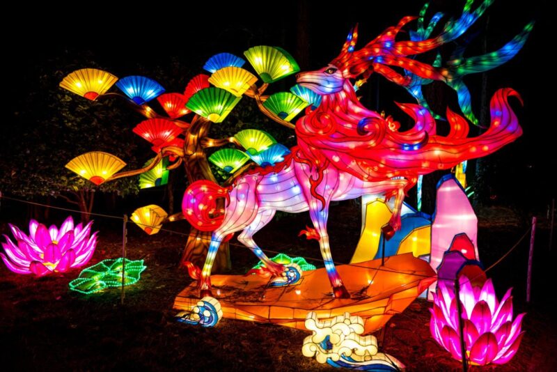 John Ball Zoo Glows with Asian Lantern Festival This Spring