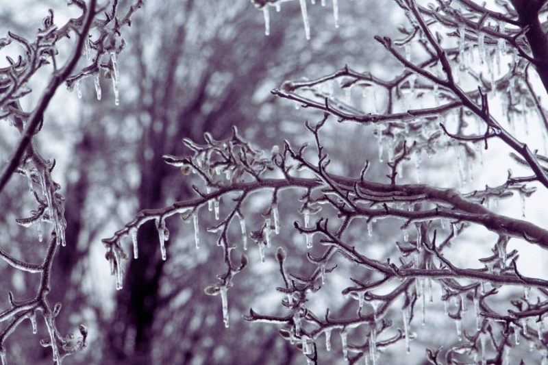 ice storms