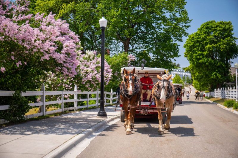 the Mackinac Island Lilac Festival