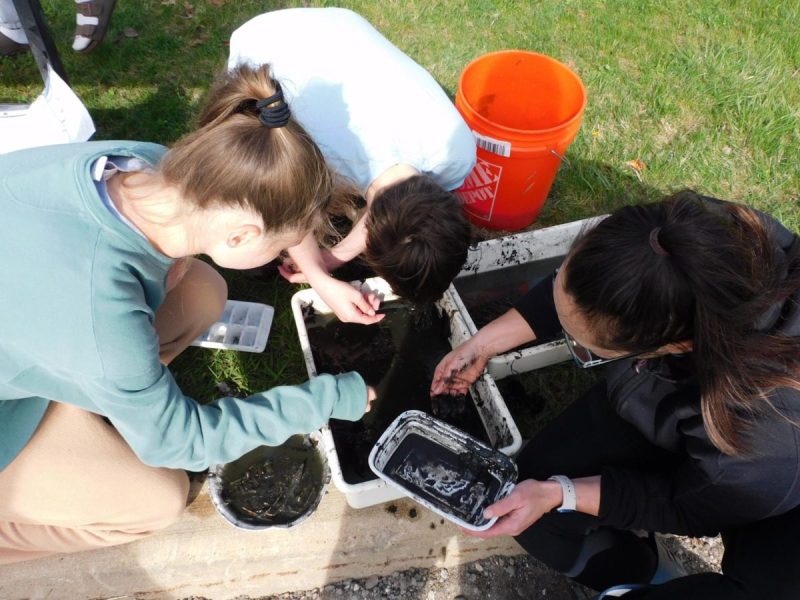 Image of Skyline High School students collecting data during their annual pond project testing the school’s pond water quality.